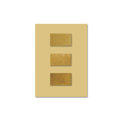 Campioni di rugosità